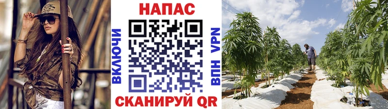 Бошки Шишки White Widow  где продают   гидра ССЫЛКА  Усолье 